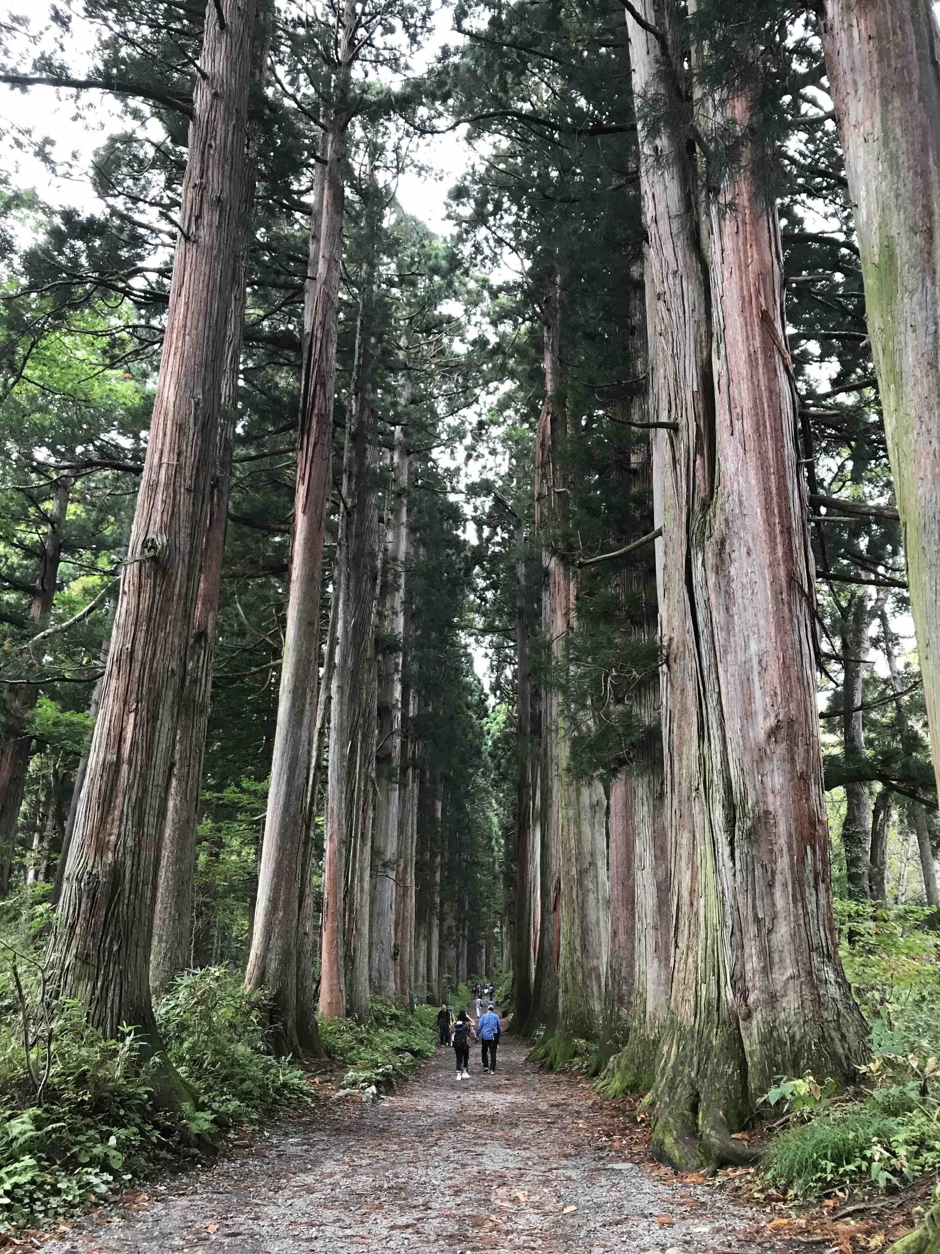 TogakushiInnerShrineApproach